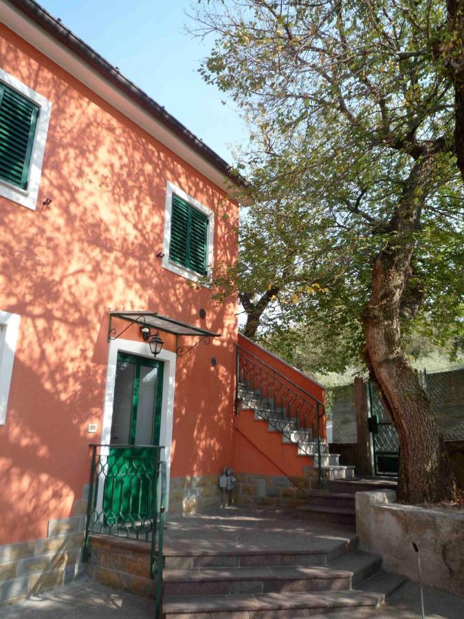 Ai 2 Olmi - Monolocali Nel Verde Муджа Екстер'єр фото
